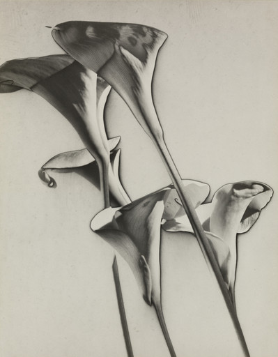 Man Ray (Emmanuel Radnitzky). Untitled. 1930