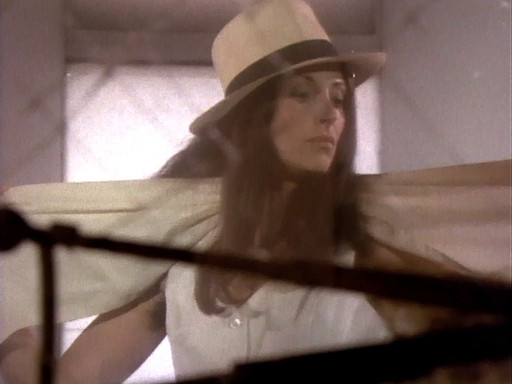 Hannah Wilke. Hannah Wilke Through the Large Glass. 1976