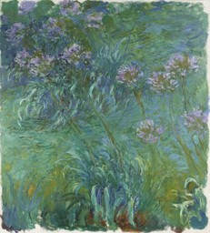 Claude Monet. Agapanthus. 1914-26