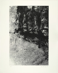 Huma Bhabha. Huma Bhabha. Untitled from Reconstructions. 2007. 2007