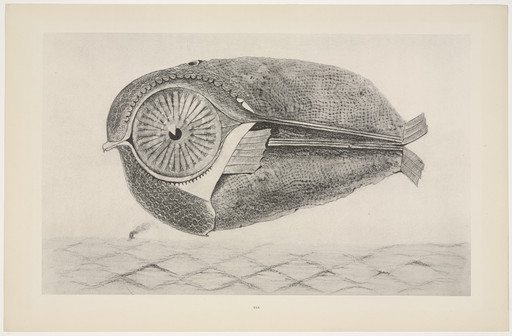 A grayscale drawing of a large fish with intricate patterns and a prominent circular eye. The fish floats above a wavy, textured surface. This is an AI generated description. To give feedback, email ai@moma.org.