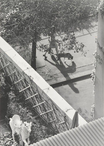 André Kertész. Promenade. 1962