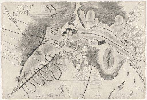 Carroll Dunham. Untitled from Shadows. 1989