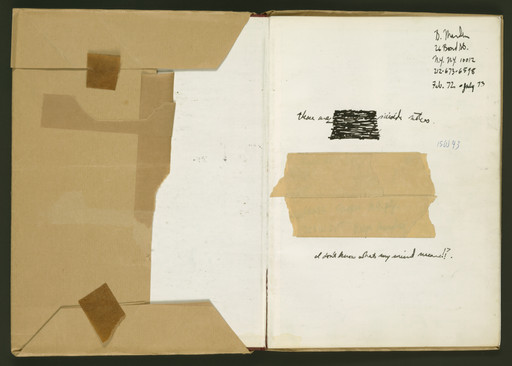 Brice Marden. Suicide Notes. 1972–73