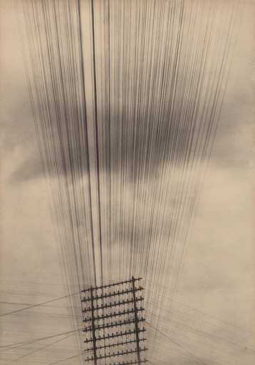 Tina Modotti. Telephone Wires, Mexico. 1924