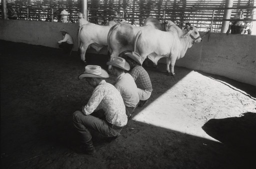 Garry Winogrand. State Fair of Texas, Dallas. 1964
