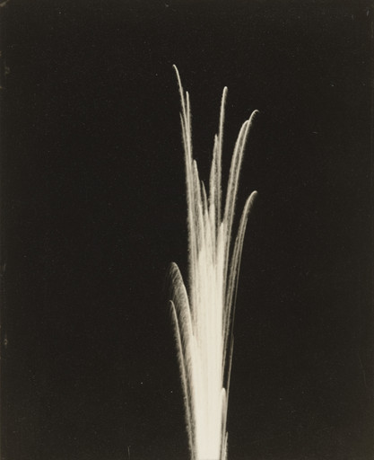 Jay Leyda. Leaf Form. 1925-41
