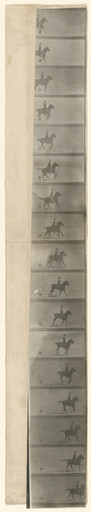 Étienne-Jules Marey. Untitled. 1893-94