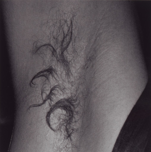 Wolfgang Tillmans. armpit. 1992