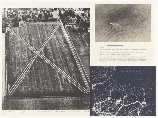 Dennis Oppenheim. Cancelled Crop - Direct Seeding. 1969 from Projects by Dennis Oppenheim. 1973