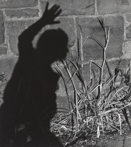Ilse Bing. Shadow Self-Portrait, Washington, D.C.. 1953