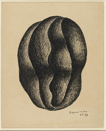 Fernand Léger. Fragment of a Nut. 1933