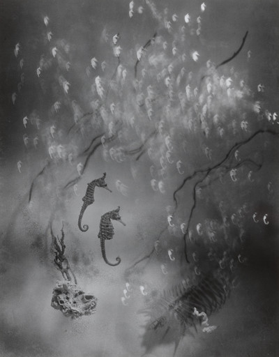 Iwata Nakayama (中山 岩太). Seahorse. 1935