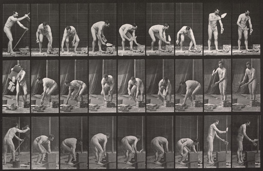 Eadweard J. Muybridge. Bricklaying: Plate 505 from Animal Locomotion (1887). 1884-86
