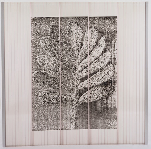 Herzog &amp; de Meuron, Basel, Jacques Herzog, Pierre de Meuron, Karl Blossfeldt. Facade Panel from the Ricola Europe Factory and Storage Building, Mulhouse-Brunnstatt, France. 1992-93