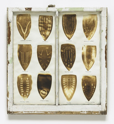 Willie Cole. Domestic ID IV. 1992