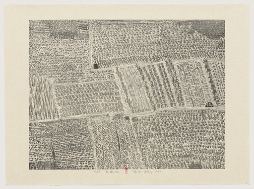 Xu Bing. Cropland from Series of Repetitions. 1987