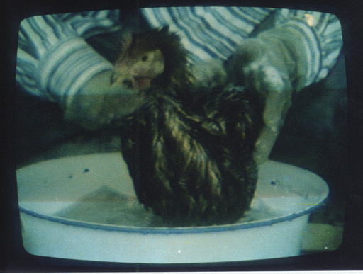 Zhang Peili. Document on Hygiene No. 3. 1991