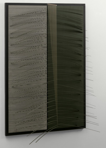 Jesús Rafael Soto. Olive and Black. 1966