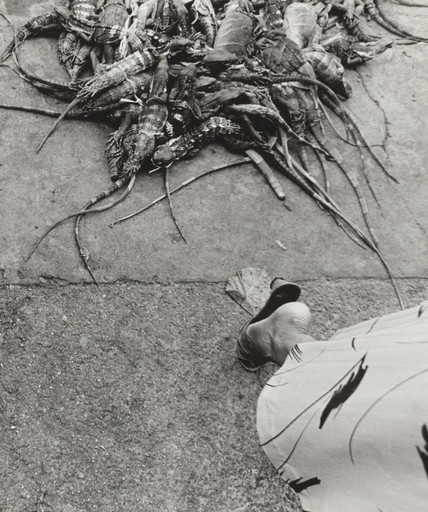 Graciela Iturbide. Iguanas, Juchitán. 1984