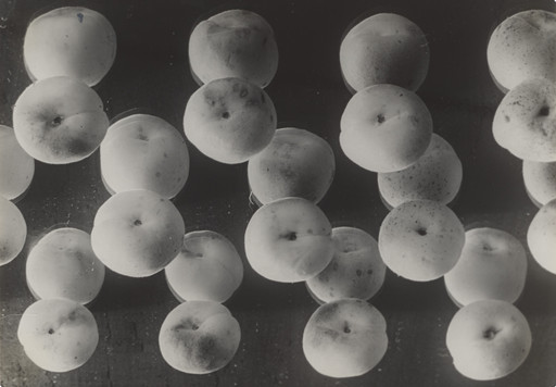 Elisabeth Hase. Apricots (Aprikosen). 1931