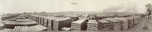 Unidentified photographer. Crosstie Storage Yard, Ayer & Lord Tie Company, Chicago, Illinois. c. 1920
