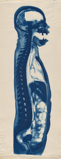 Unidentified photographer. Untitled. c. 1910