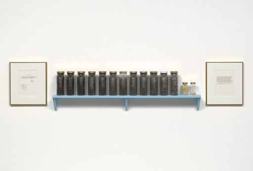 Adrian Piper. What Will Become of Me. 1985, ongoing