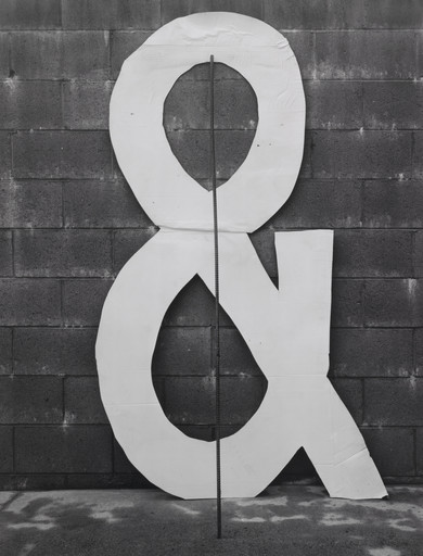 Shannon Ebner. ETC. 2010
