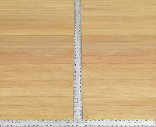 Sylvia Plimack Mangold. 36 by 36. 1975