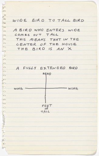 Mike Kelley. Wide Bird to Tall Bird. 1978