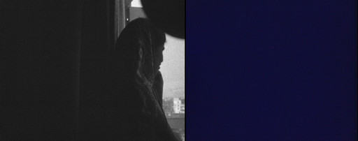 Nalini Malani. Utopia. 1969-76