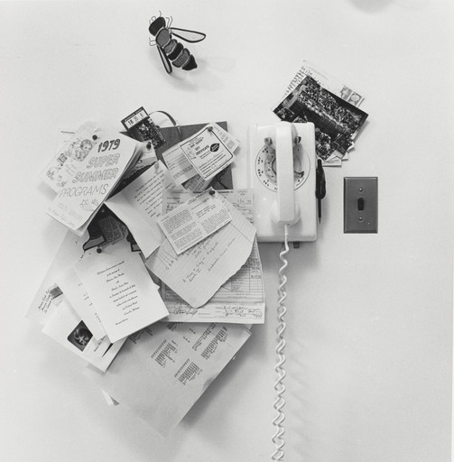 Joanne Leonard. Memo Center with Bee, Sue's Home, Ann Arbor, MI. 1979