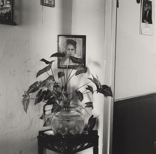 Joanne Leonard. Portrait, Plant, and Fishbowl, Corean's Home, West Oakland, CA. 1970