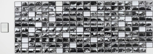 Sophie Calle. The Sleepers (Les dormeurs). 1979