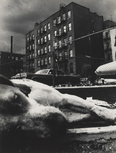 Miguel Rio Branco. Untitled. 1970-72
