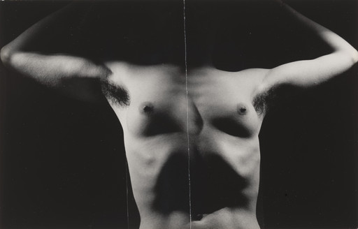 Man Ray (Emmanuel Radnitzky). Minotaur. 1933