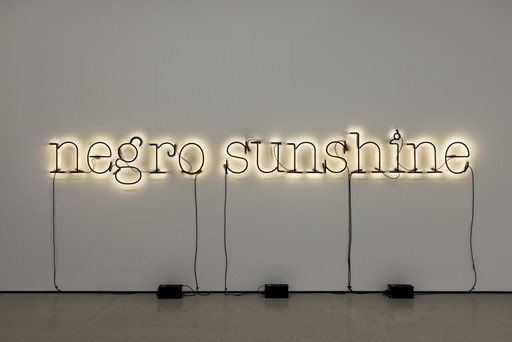 Glenn Ligon. Warm Broad Glow. 2005