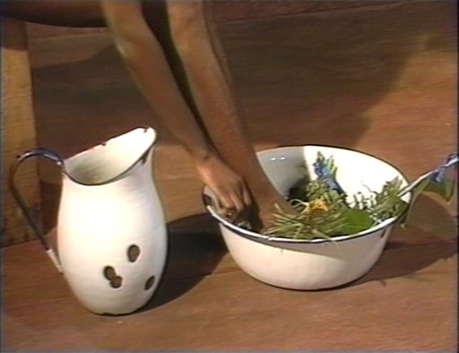 Maria Magdalena Campos-Pons. Baño Sagrado (Rite of Initiation, Sacred Bath). 1991