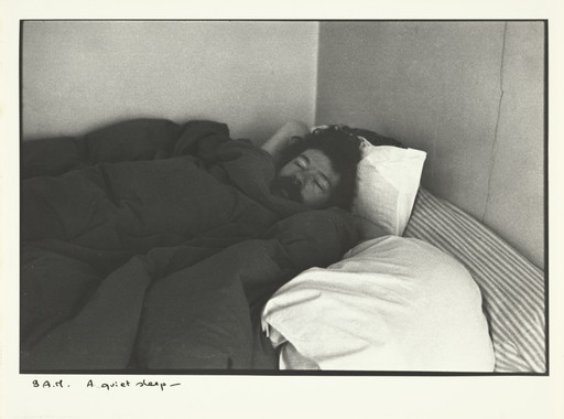 Sophie Calle. The Sleepers (Les dormeurs). 1979