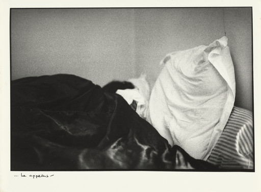 Sophie Calle. The Sleepers (Les dormeurs). 1979