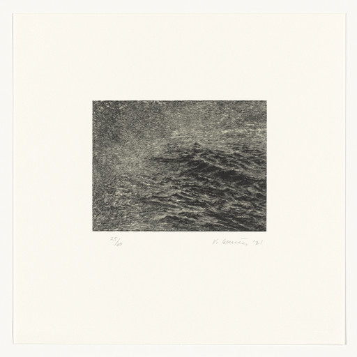 Vija Celmins. Fragment from the portfolio The Met 150. 2021