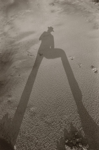 Adger Cowans. Fire Island Shadow. c. 1960