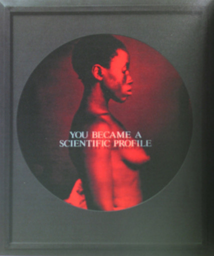 Carrie Mae Weems. From Here I Saw What Happened and I Cried. 1995-96