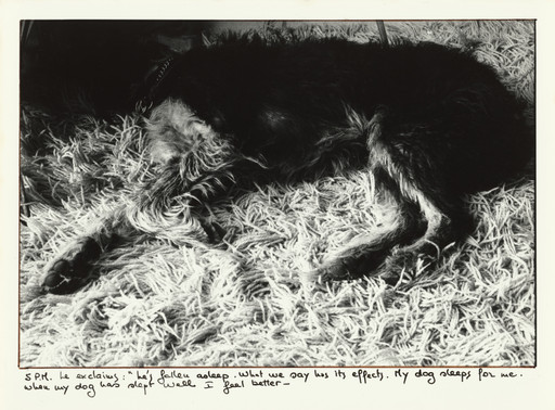 Sophie Calle. The Sleepers (Les dormeurs). 1979