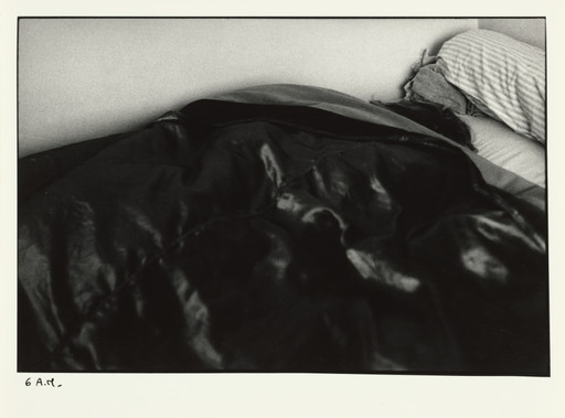 Sophie Calle. The Sleepers (Les dormeurs). 1979