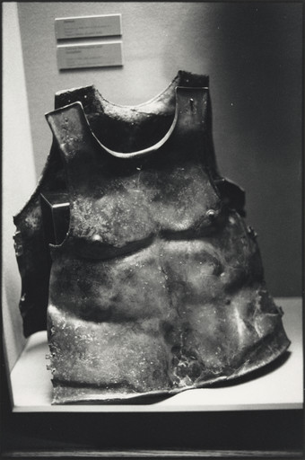 Zoe Leonard. Display IX. 1991