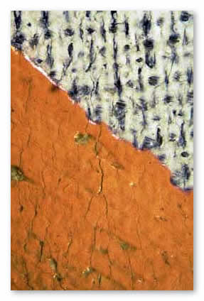 Fig. 1 - Detail: Example of ground in reserve