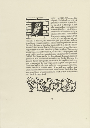 Gerhard Marcks. Owl (Eule) and Birds II (V&ouml;gel II) (headpiece and in-text plate, page 14) from Tierfabeln des Aesop (Aesop's Fables). (1950, print executed 1949-50)