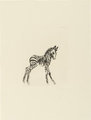 Ren&eacute;e Sintenis. Young Zebra (Junges Zebra). unknown
